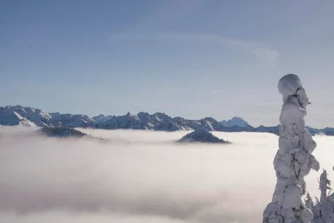 Foggy Stevens Pass Stock Photos