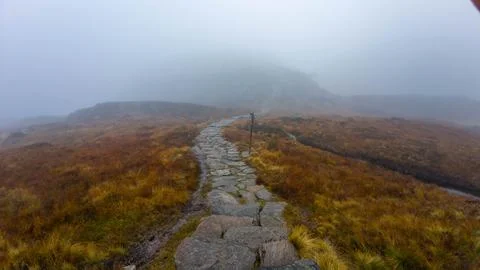 Foggy Stone Path Through Misty Landscape Stock Photos
