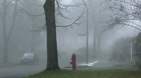 Foggy street Stock Footage 45521649