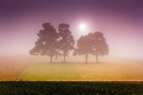 Foggy sun Stock Photos