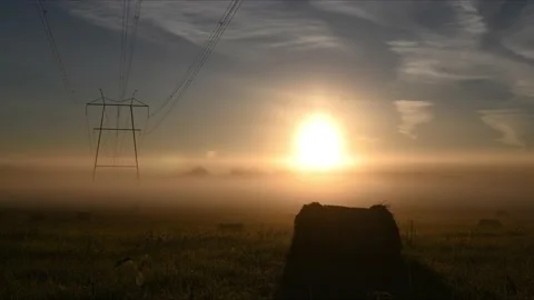 Foggy sunrise 動画素材 137558418