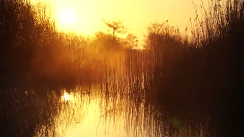 Foggy sunrise Stock Footage 156285002