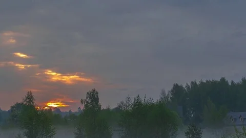 Foggy sunrise over the forest Stock Footage 76042622