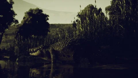 Foggy swamp environment with lurking predator and heavy darkness Stock Footage 341588083