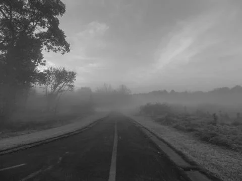 A Foggy Trail Stock Photos