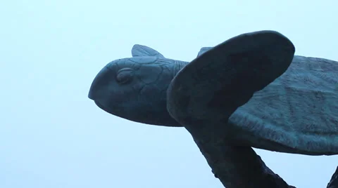 Foggy Turtle Statue Stock Footage 36269154