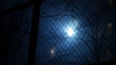 Foggy urban landscape in the night Stock Footage 87204635