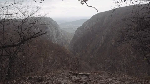 Foggy valley in a forest Stock Footage 98213105