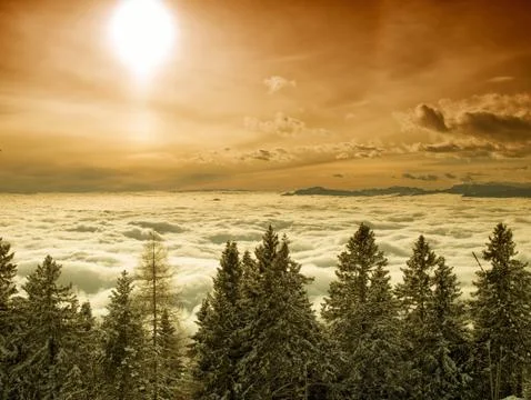 Foggy valley Stock Photos