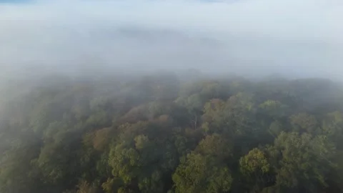 Foggy view of Catbells Stock Footage 218864697