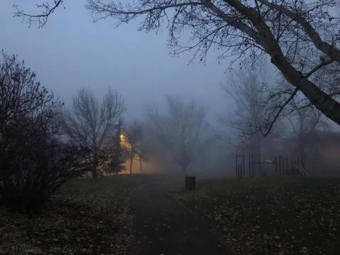 Foggy Walk Path Stock Photos