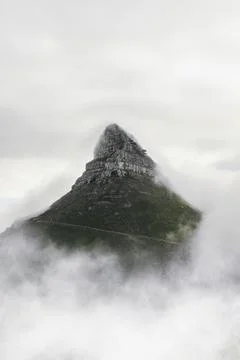 Foggy walk Stock Photos