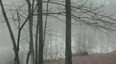 Foggy Water 2 Stock Footage 10900048