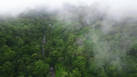 Foggy Wayanad Stock Footage 315065298