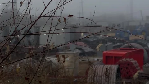 Foggy weather. Stock Footage 257460003