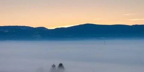 Foggy winter dusk Stock Photos