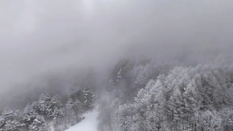 Foggy Winter Forest, Snow, Mist, Mysterious Atmosphere│Aerial Drone Vidéo 329063248