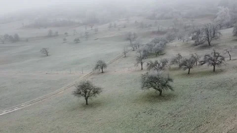 Foggy winter landscape 스톡 동영상 169167989