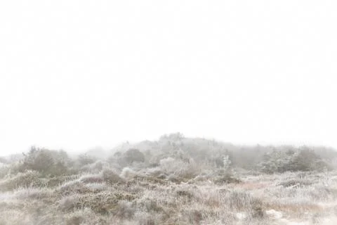 Foggy winter landscape Stock Photos
