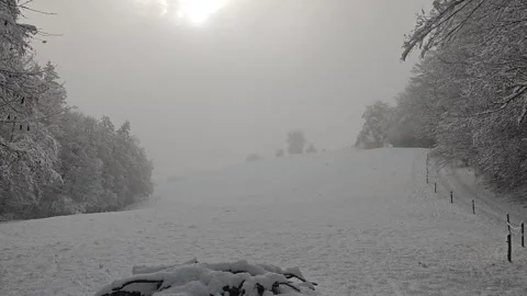 Foggy Winter Landscape with Sunlight Over Snowy Field Stock Footage 325594783