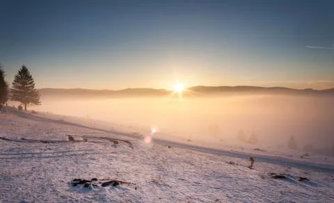 Foggy winter sunset Stock Photos