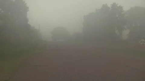 FogNeighborhood Stock Footage 279503530