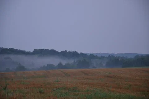  Fogs of Belarus Stock Photos