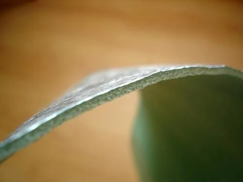 Foil Thermal Insulation Material Highlights Its Unique Texture and Curvature Фото