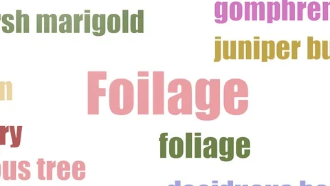 Foilage Tag Cloud Animated Isolated Video stock 107249599