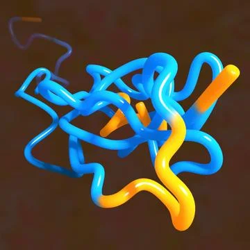 Folded and Unfolded Protein Chain 3D Model