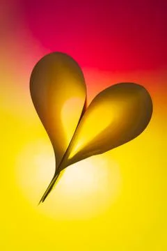 Folded backlit paper abstract heart shape suitabe as wallpaper. Stock Illustration