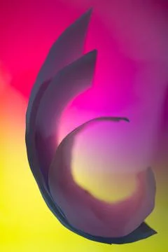 Folded backlit paper abstract shapes suitabe as wallpaper. Stock Illustration