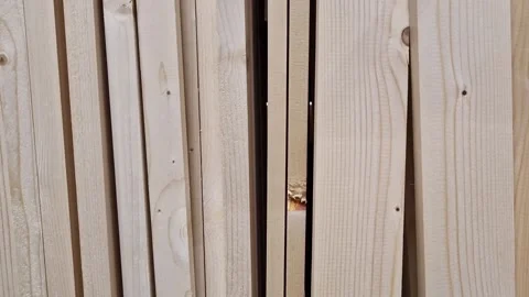 Folded boards close-up, straight cut. Wood boards in a hardware store Stock Footage 250349272