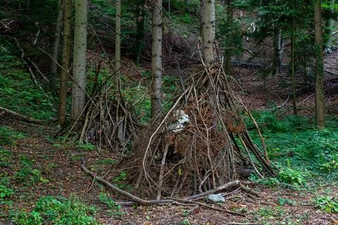 Folded branches after cutting down trees in the forest Stock Photos