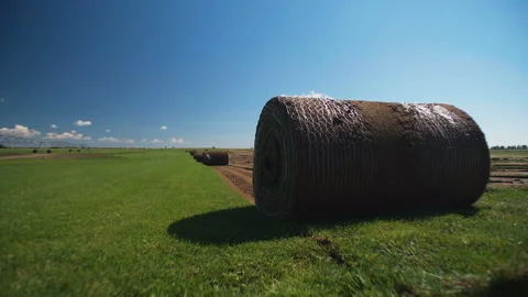 Folded lawn lay on the field. Roll Lawn on field Stock Footage 105930658