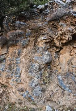 Folded layers of limestone in an exposed mountain slope Stock Photos