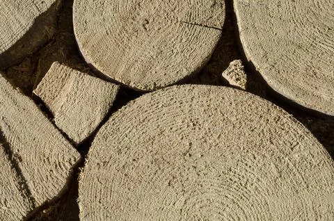 Folded log cabin with logging, texture of a tree, background of trees Stock-Fotos