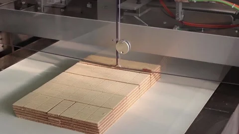 Folded, one on another, wafer tiles move along a conveyor belt. Stock Footage 122336325