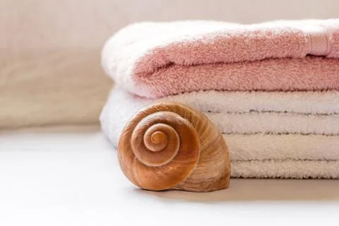 Folded towels and a seashell close up arrangement Stock Photos