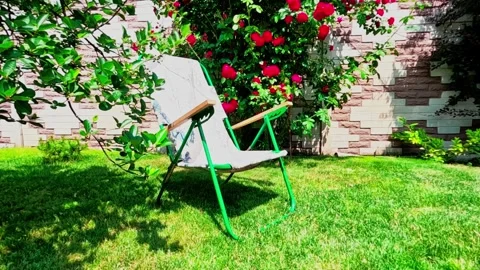 Folding chair in garden Stock Footage 311233950