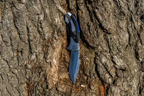 Folding knife on the old tree trunk Stock Photos