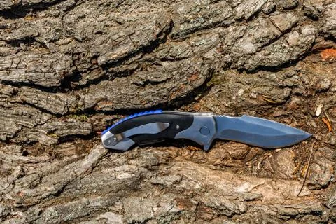 Folding knife on the old tree trunk Stock Photos
