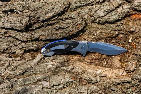 Folding knife on the old tree trunk Stock Photos