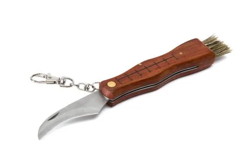 Folding knife 스톡 사진