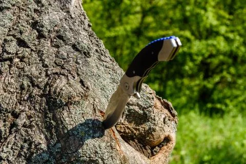 Folding knife stuck in the old tree trunk Stock Photos