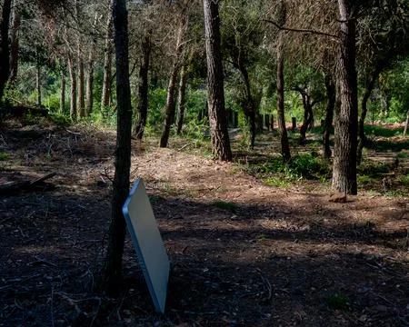 Folding table leaning against a tree in the forest Stock Photos