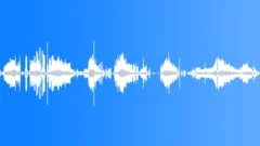 Foley Various Foley Creaking Wood Floor Stress Walking SlowlySound Effect