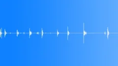 Foley,Coins,Drop on Coins,SinglesSound Effect