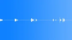 Foley,Coins,Moves,HandlingSound Effect