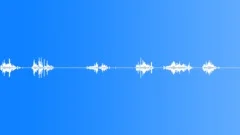 Foley,Coins,Sweep Around,Drop,LiteSound Effect